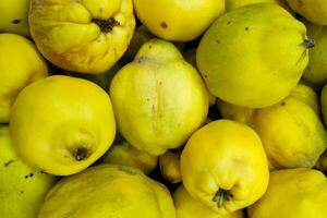 Stack of quinces on a market stall photo