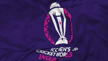 icc Herren Kricket Welt Tasse 2023 Indien Flagge nahtlos Schleifen Hintergrund, geloopt stoßen Textur Stoff winken schleppend Bewegung, 3d Rendern video