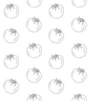 Vector seamless pattern of hand drawn tomato isolated on white background