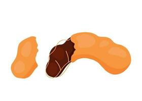 Tamarind Fruit Half Opened Icon Animated Vector Illustration