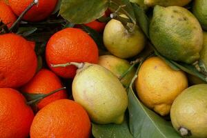 Stack of clementines and limes on a market stall photo