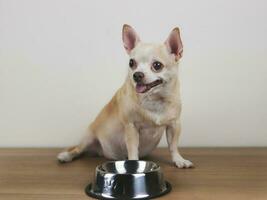 hambriento chihuahua perro sentado en de madera piso con vacío perro comida bol, mirando a su propietario preguntando para alimento. foto