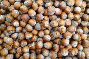 Stack of hazelnuts on a market stall photo