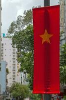 bandera de Vietnam foto