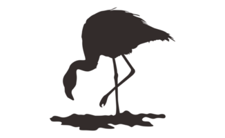 Flamingo Bird Silhouette On Transparent Background png