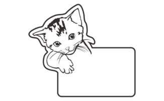Room Name Plate With Cute Cat Theme On Transparent Background png