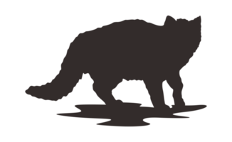 chaton silhouette avec transparent Contexte png