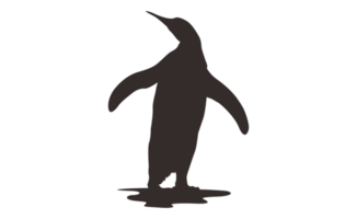 pinguino silhouette su trasparente sfondo png
