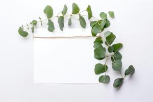 Spring or Summer, Nature Composition Background With Eucalyptus Leaves with Paper Sheet. Illustration. photo