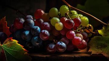 Beautiful Organic Background of Freshly Juicy Grapes Bunch. Created By Technology. photo