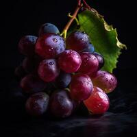Striking Photography of Black Grapes with Water Drops on Dark Background, . photo
