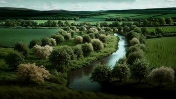 Green landscape with lake and trees. photo