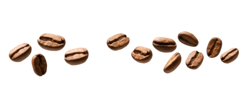 Closeup View of Dark Brown Roasted Coffee Beans Strewn on Transparent Background. . png