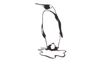 Penguin Line Art on a transparent background png