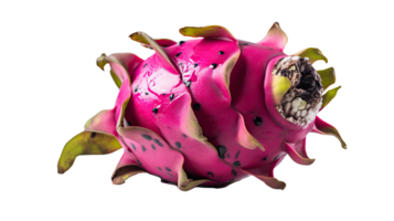 Fresh Dragon Fruit Isolated on Transparent Background. Illustration. png