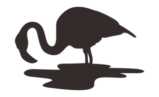 Flamingo Bird Silhouette On Transparent Background png