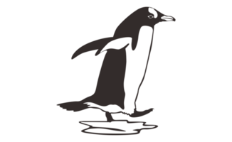 pinguino linea arte su un' trasparente sfondo png