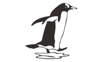 Penguin Line Art on a transparent background png