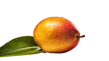 Realistic Ripe Pear with Green Leaf on Background, . png