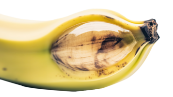 Closeup Yellow Banana Isolated on Transparent Background. Illustration. png