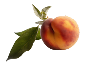 Realistic Ripe Peach with Green Leaf and Water Droplets on Background, . png