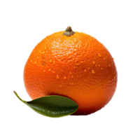 Fresh Orange with Water Drops Closeup on Transparent Background. . png