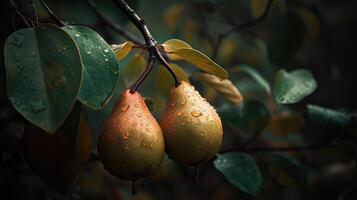 Closeup Shot of Pear Fruit on Tree Branch, Beautiful Organic Background. Technology. photo