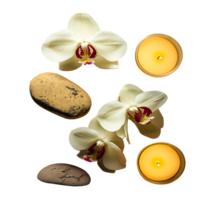 Spa or Natural Treatment Setup of Orchid Flowers, Candles and Pebble on Transparent Background. Generative AI. png