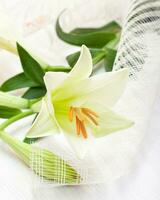 Beautiful white Easter lily flower bouquet photo