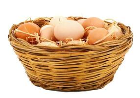 Basket of eggs photo