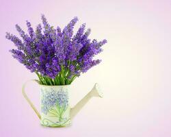 Watering can with plucket lavender photo