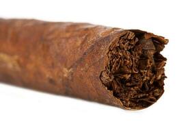 Cigar macro on white background. photo