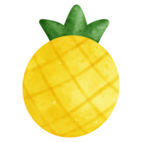 piña Fruta acuarela ilustración png