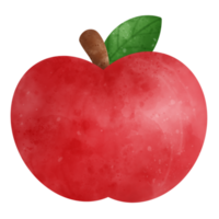 ilustración de acuarela de fruta de manzana png