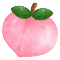 ilustración de acuarela de fruta de durazno png