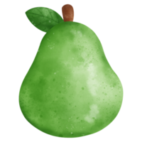 ilustración de acuarela de fruta de pera png