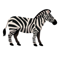 Zebra Symbol Clip Art transparent Hintergrund--- png