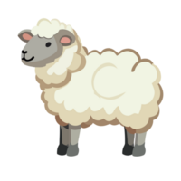 Sheep clipart transparent background png