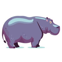 hippopotame clipart transparent Contexte png