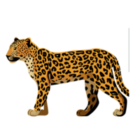 Leopard Clip Art transparent Hintergrund png