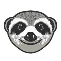 creatief meerkat icoon clip art transparant achtergrond png