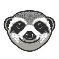 creativo meerkat icona clipart trasparente sfondo png