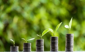 Business Finance and Money concept,Save money for prepare in the future.tree growing on coin of stacking silver coins with green bokeh background photo