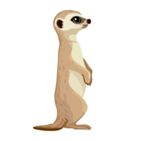 meerkat ikon ClipArt transparent bakgrund png