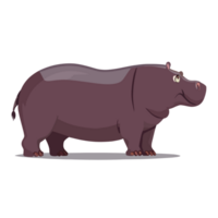 Hippopotamus icon clipart transparent background png