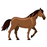 cheval icône clipart transparent Contexte png