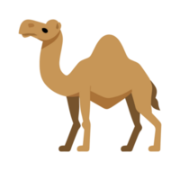 Camel icon clipart transparent background png