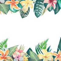 Flower border clipart transparent background png