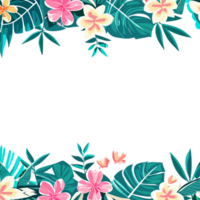 bloem grens clip art transparant achtergrond png