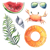 Beach set with orange print inflatable ring, crab, palm branch, sunglasses, piece of watermelon and seashell. Watercolor illustration, hand drawn. Isolated objects . png